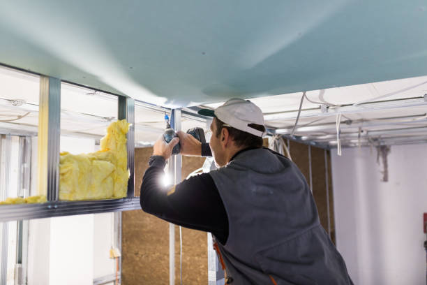 Types of Insulation We Offer in Lehigh Acres, FL