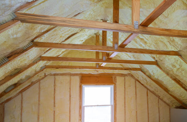 Types of Insulation We Offer in Lehigh Acres, FL
