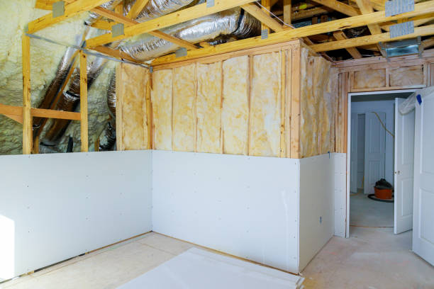 Best Eco-Friendly Insulation in Lehigh Acres, FL