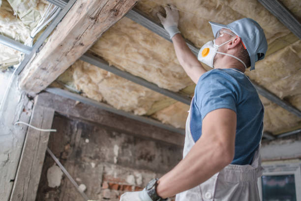 Best Blown-in Insulation in Lehigh Acres, FL
